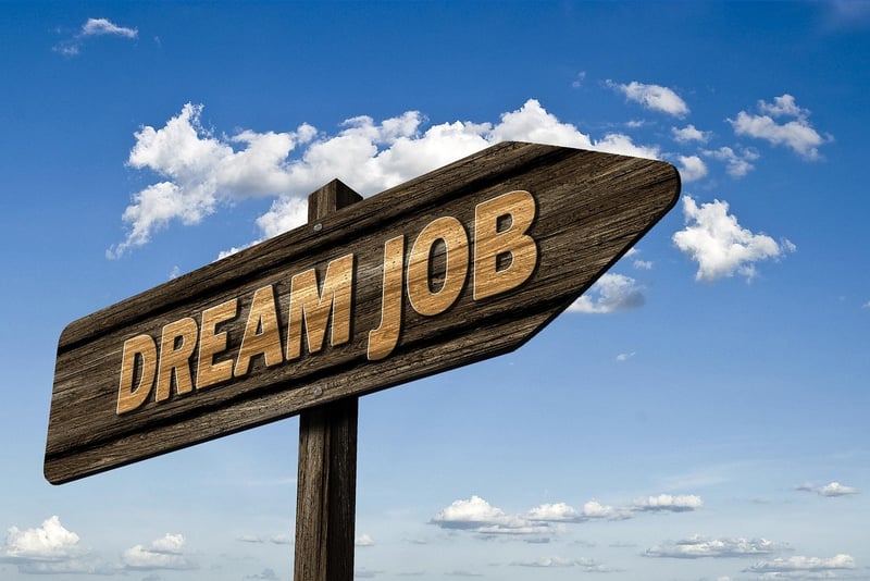 Job Search Platform